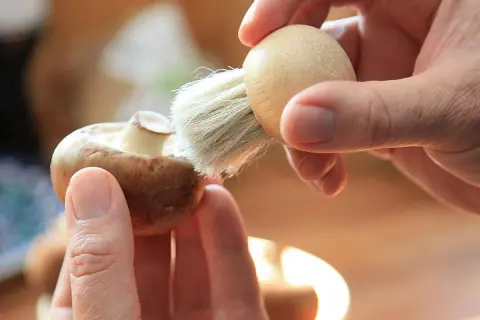 Manos limpian un champiñón con un cepillo, preparándolo para unos deliciosos champiñones al ajillo.