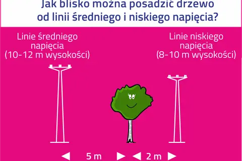 Ilustracja przedstawia linie energetyczne średniego i niskiego napięcia oraz drzewo z podanymi odległościami.