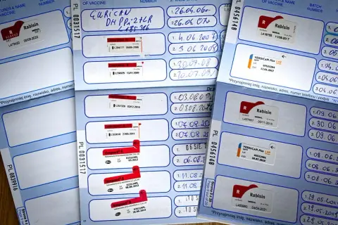 Paszport dla psa ile ważny? Odkryj kluczowe informacje o szczepieniach