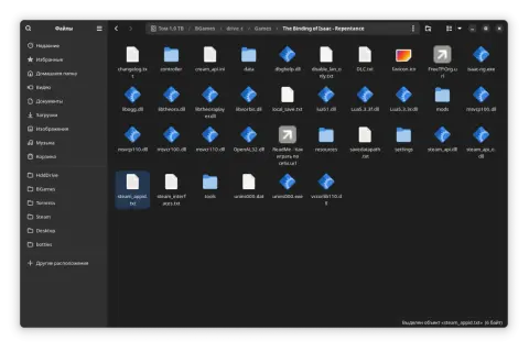 Plik steam_appid.txt jest zaznaczony. Wygląda na to, że steam nie działa, a folder zawiera pliki gry The Binding of Isaac.