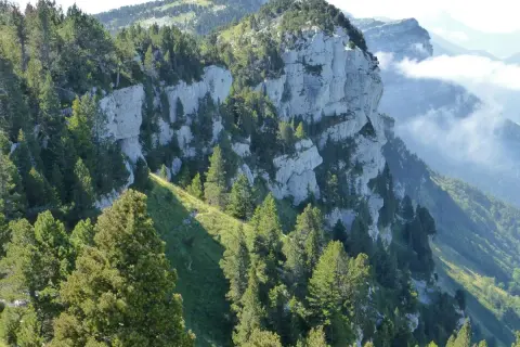 Sentier de rando en montagne, falaises calcaires abruptes et sapins verdoyants. Un paysage grandiose pour une belle rando.