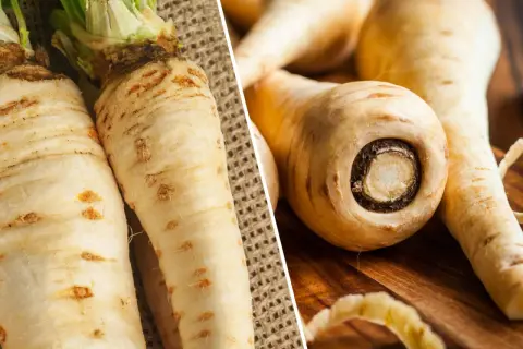 Dwa pasternaki na płótnie i kilka na drewnianej desce. Pasternak a pietruszka – podobne, ale jakże różne w smaku.