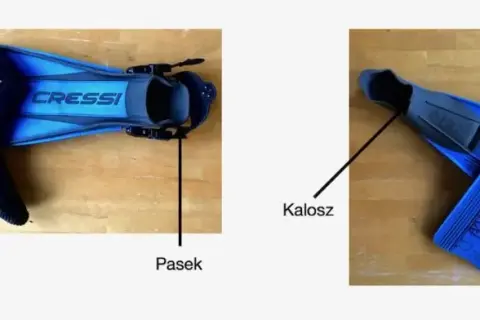 Jakie płetwy do nauki pływania pomogą Ci uniknąć frustracji?