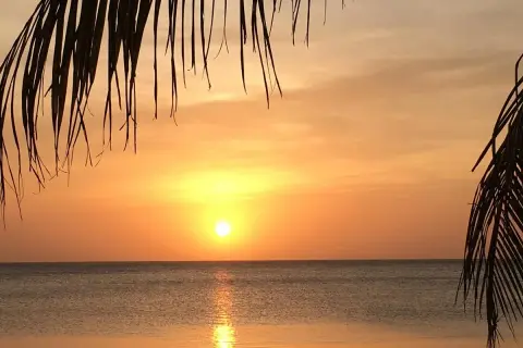 Solnedgång över en sandig vikstrand, med palmblad som ramar in himlen i varma färger.