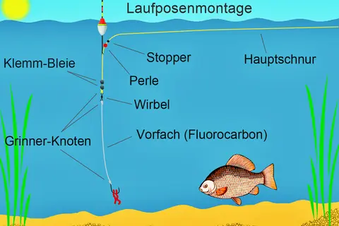 Eine Laufposenmontage mit Stopper, Perle, Wirbel, Klemmblei und Grinner-Knoten. Ein Fluorocarbon-Vorfach mit Haken und Köder wartet auf einen Fisch.