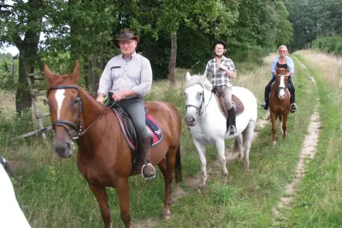 Salino: Jeździeckie serce Kaszub? Odkryj Stadninę Koni!