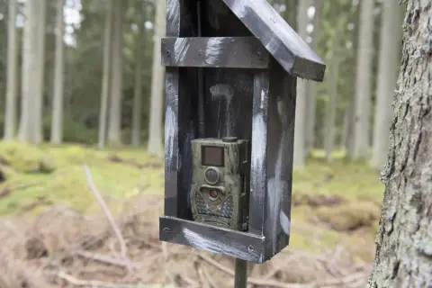 Vildmarkskamera i skyddande låda i skogen. Tänk på åtelkamera regler för att undvika problem.