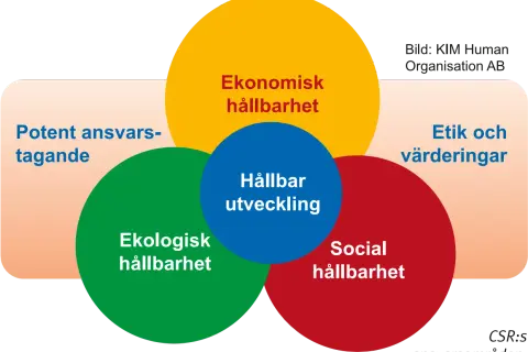 Diagram som visar att hållbar utveckling bygger på ekonomisk, ekologisk och social hållbarhet, samt etik och värderingar.