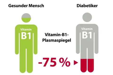 Vergleich Vitamin B1-Plasmaspiegel: Gesunder Mensch (grün) vs. Diabetiker (grau). Diabetiker zeigen -75% weniger Vitamin B1, was auf einen Mangel hindeuten kann.