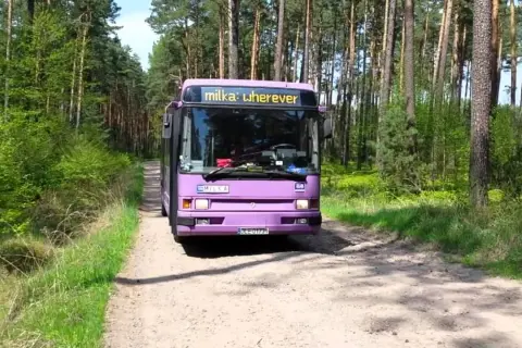 Jak oznakować holowane auto? Uniknij mandatu i jedź bezpiecznie!