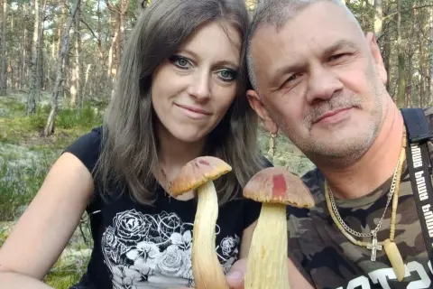 Świętokrzyskie: Gdzie na grzyby? TOP miejscówki i sekrety udanych zbiorów!