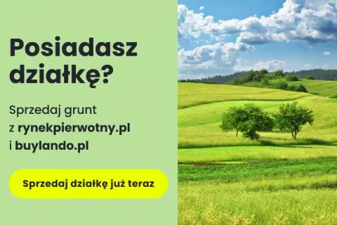 Ile kosztuje działka budowlana na wsi? Ceny, które mogą zaskoczyć