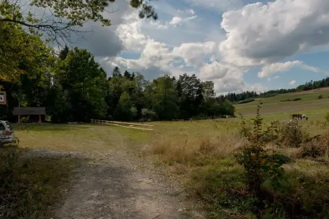 Stadnina koni Toporzysko - odkryj wyjątkowe jazdy i atrakcje