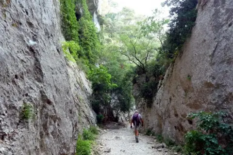 Randonneur seul dans les gorges du Récalon, chemin rocailleux bordé de falaises abruptes et de végétation luxuriante. Fermeture du sentier annoncée.