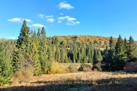 Jesienne barwy lasów i łąk w Bukowcu, Bieszczady. Idealne miejsce na piesze wędrówki i podziwianie przyrody.