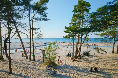 Słoneczna dębki plaża z piaszczystym brzegiem, drzewami sosnowymi i ludźmi odpoczywającymi nad morzem.