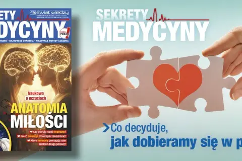 Sekrety raportu z eksperymentu: Zdobądź 5! Kompletny przewodnik