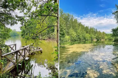 Idyllische Seenlandschaft mit Holzsteg am ASV Bensberg. Grüne Ufer und klares Wasser laden zum Verweilen ein.
