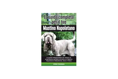 Copertina libro: "La guida completa per il tuo Mastino Napoletano". Un maestoso cane di razza Mastino Napoletano, oggi in napoletano.