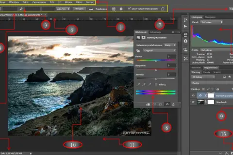 Photoshop: Co to jest? Zrozum program i wybierz najlepsze narzędzie