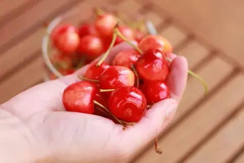 Ile kalorii ma kilogram czereśni? Zaskakujące fakty o ich wartości odżywczej