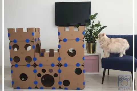 Domek dla kota z kartonu: Stwórz azyl, który pokocha Twój kot!