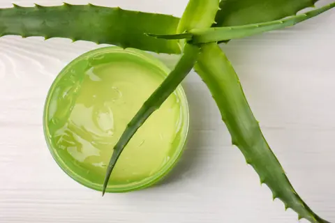 Żel aloesowy w zielonym słoiczku, obok świeżych liści aloesu. Idealny aloes na oparzenia słoneczne.