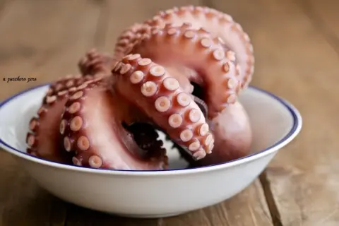 Un poulpe cuit, prêt pour une délicieuse recette. Ses tentacules aux ventouses sont mis en valeur dans un bol blanc sur fond de bois.