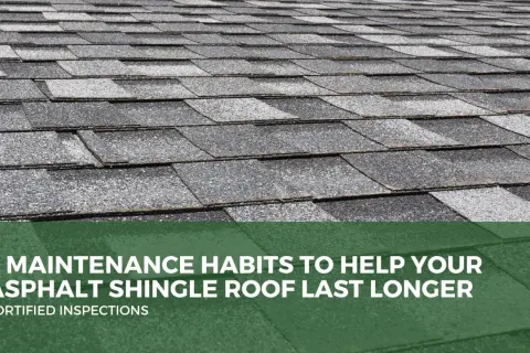 Close-up of a grey asphalt shingle roof, showing texture and overlap. Text reads: "7 Maintenance Habits to Help Your Asphalt Shingle Roof Last Longer.