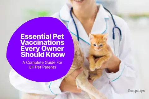 A veterinarian holds a kitten, discussing essential veterinary vaccines for pet parents.