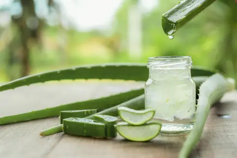 Frisches Aloe Vera Gel tropft aus einem Blatt in ein Glas. Ideal für die Hautpflege.