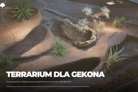 Rośliny do terrarium gekona orzęsionego: Co wybrać, czego unikać?