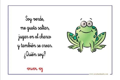 Adivinanzas de animales: Soy verde, me gusta saltar, jugar en el charco y croar. ¿Quién soy? ¡La rana!