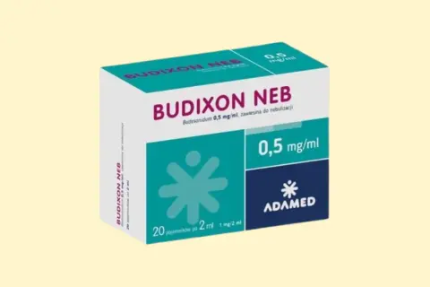 Opakowanie leku budezonid lek-am Budixon Neb 0,5 mg/ml, zawiesina do nebulizacji. Zawiera 20 ampułek po 2 ml.