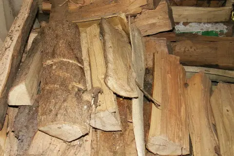 Gros tas de bois empilé, en attente de séchage. Des bûches brutes côtoient des morceaux plus fins, prêts pour le feu.
