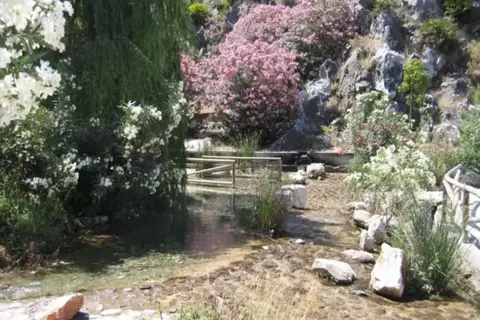 El nacimiento del río Molinos, un arroyo cristalino entre rocas y flores rosas y blancas, con un puente de madera.