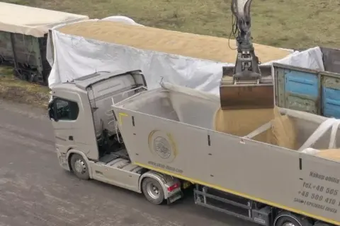 Jakie firmy kupiły zboże z Ukrainy? Oto zaskakujące dane i szczegóły