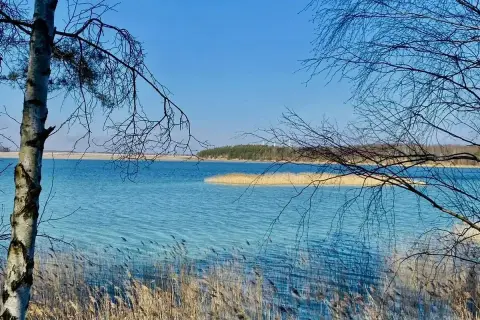 Piękne, turkusowe jezioro w Koninie otoczone trzcinami i nagimi gałęziami drzew.