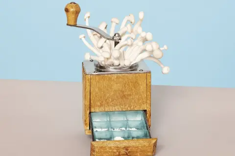 Een oude koffiemolen met paddenstoelen, die de essentie van wat is microdosing illustreert: kleine, gecontroleerde doses voor een subtiel effect.