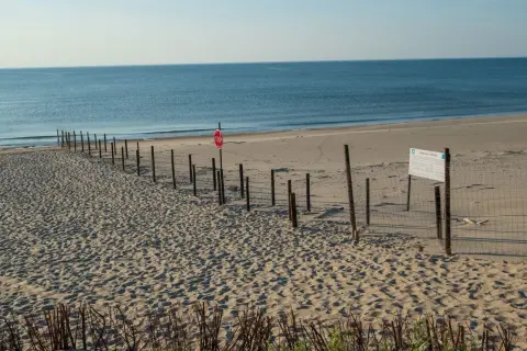 Plaża z siatką i znakiem stop, wyznaczająca granicę polsko rosyjską. Morze w tle.