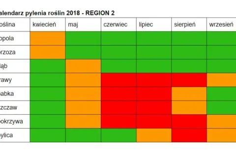 Co pyli w czerwcu? Alergia na trawy i inne pyłki jak sobie radzić