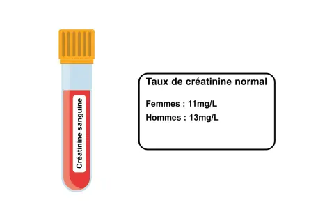Tube de sang pour analyse de créatinine. Le taux normal est de 11mg/L pour les femmes et 13mg/L pour les hommes, indiquant qu'une créatinine urinaire élevée peut signaler un problème.