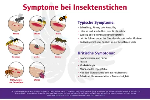 Übersicht über Symptome bei Insektenstichen: Wann zum Arzt? Typische und kritische Anzeichen werden erklärt, um die richtige Reaktion zu finden.