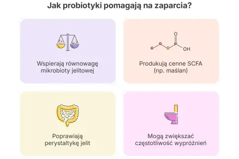 Probiotyk na zaparcia: wspiera mikrobiotę, produkuje SCFA, poprawia perystaltykę jelit i może zwiększać częstotliwość wypróżnień.