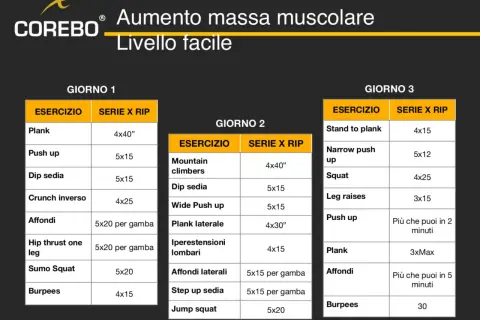 Programma di allenamento a casa per aumentare la massa muscolare, livello facile. Giorni 1, 2 e 3 con esercizi e serie.