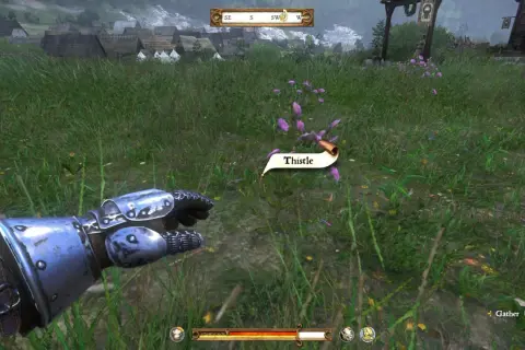 W grze Kingdom Come: Deliverance, zbieranie ostów to podstawa poradników do gier. Postać w zbroi zbliża się do fioletowych kwiatów.