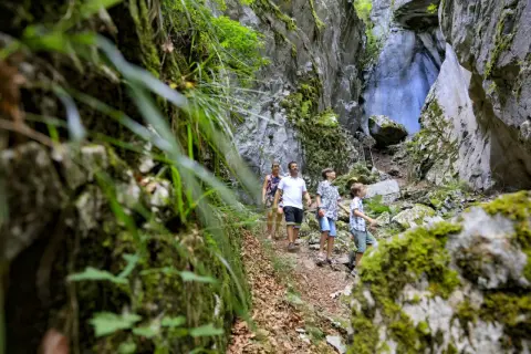 Une famille explore les **gorges des Tines**, un sentier étroit bordé de falaises rocheuses couvertes de mousse et de végétation luxuriante.