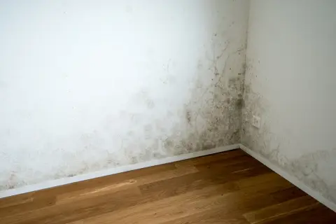 Esquina de habitación con moho en la pared, indicando la necesidad de saber como aislar una pared de la humedad.