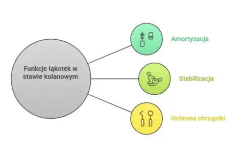 Funkcje łąkotek w kolanie: amortyzacja, stabilizacja i ochrona chrząstki.