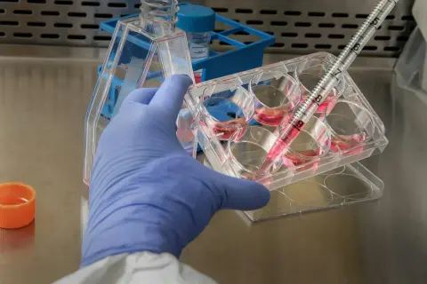 Jakie są dziedziny biologii? Poznaj fascynujące specjalizacje!
